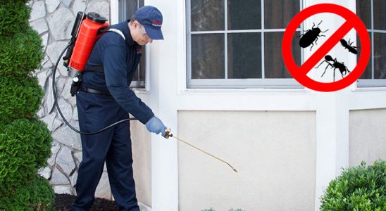 Bahçe Akrep İlaçlama böcek ilaçlama ve haşere kontrolü — ilaclama-tr.com